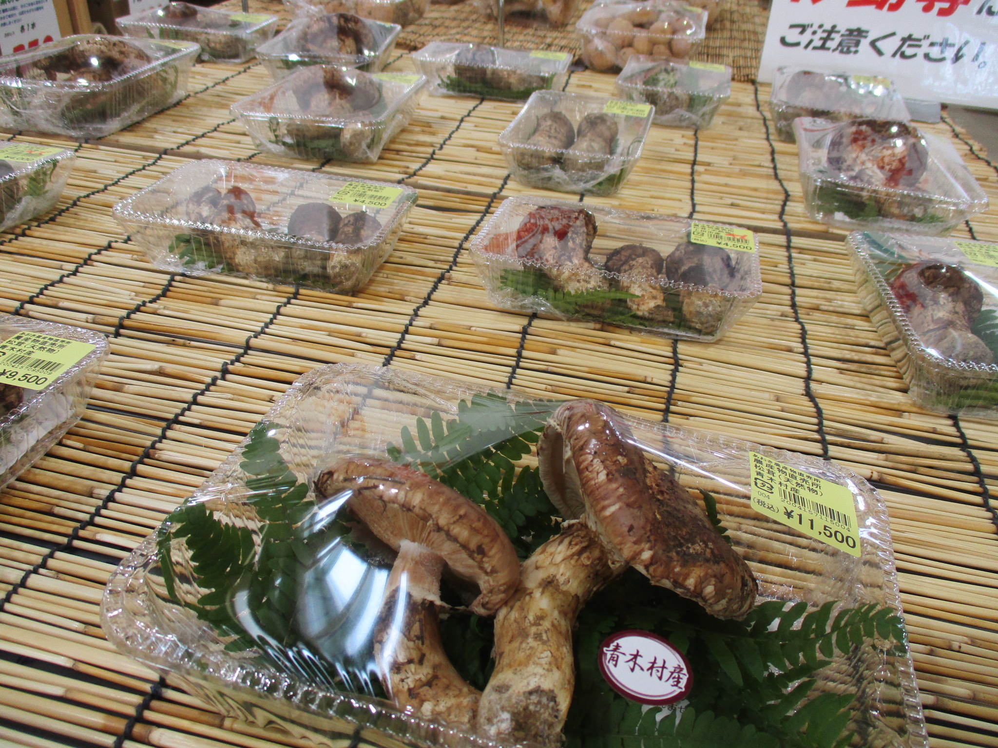 天然松茸北海道産 9/21(木)8:00まで限定価格-